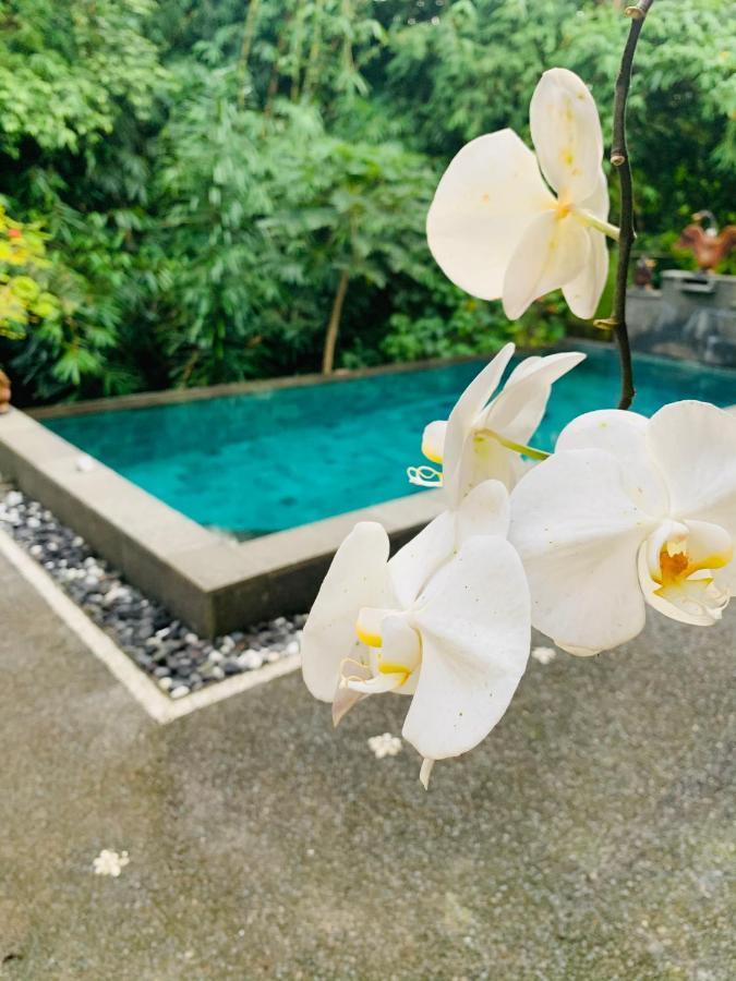 Gek House Ubud  Ngoại thất bức ảnh